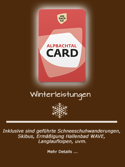 card alpbachtal winter